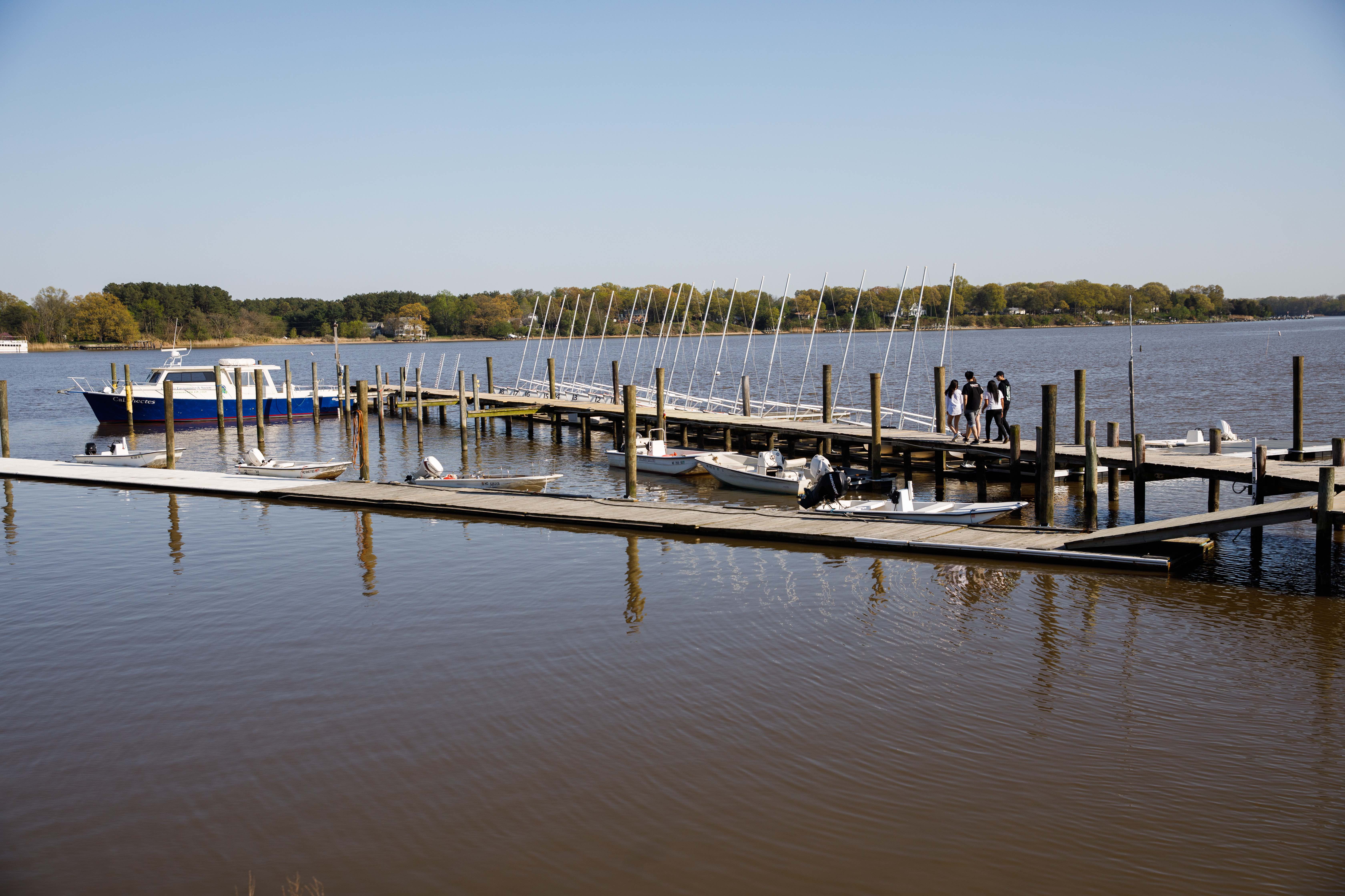 Sailboats in Washington College's riverfront marina