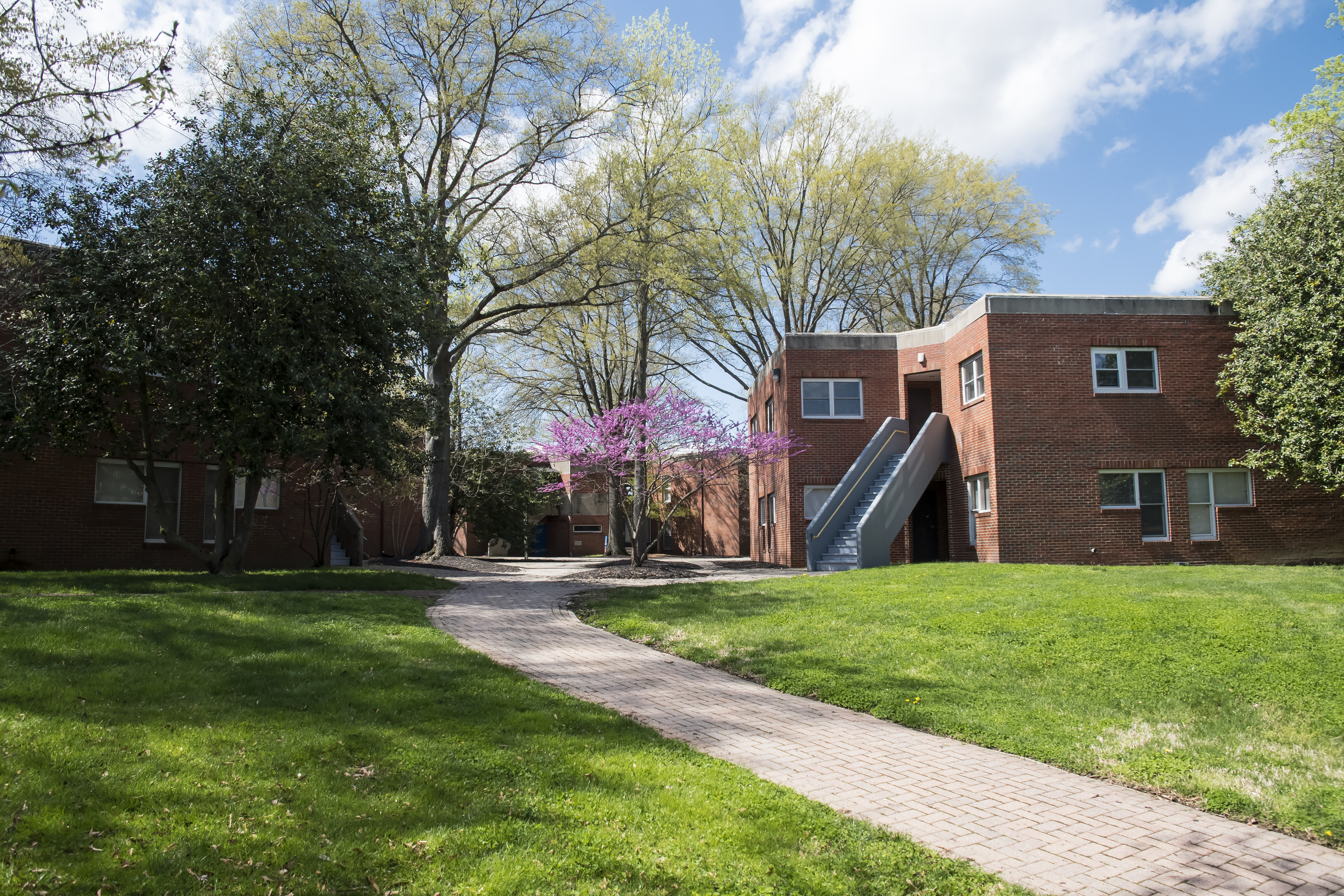 exterior dorms on a sunny day