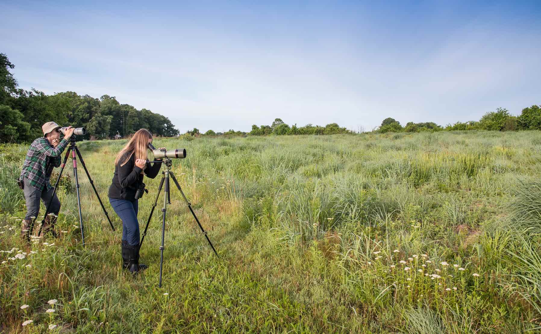 ces_grasslands_research