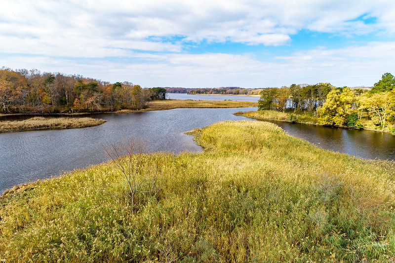 rafc-wetland