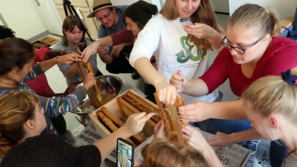 Students harvest honey from the campus garden in a residence hall common room.