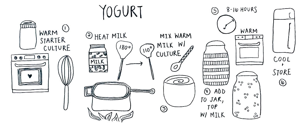 Yogurt