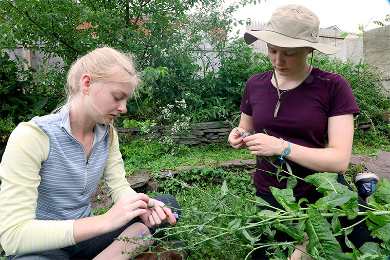 Summer with the Food Initiative