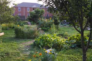 Campus Garden