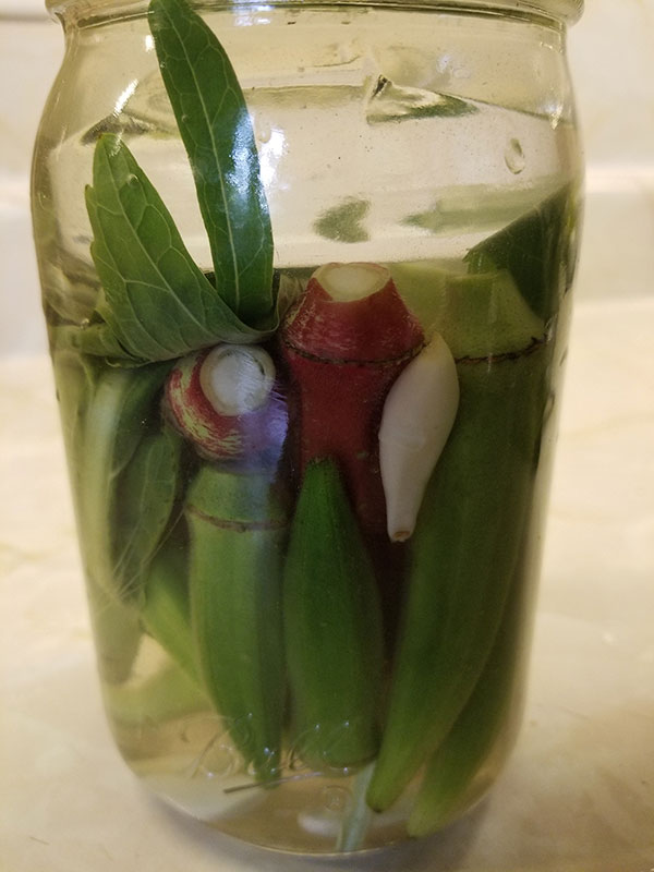 Okra