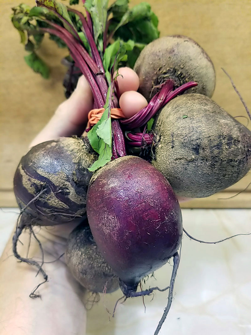 Detoxify beets