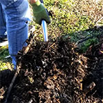 Compost Team