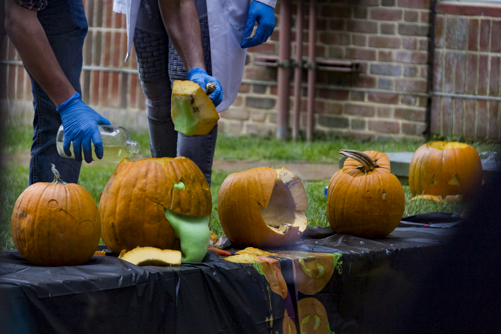 pumpkins in a row