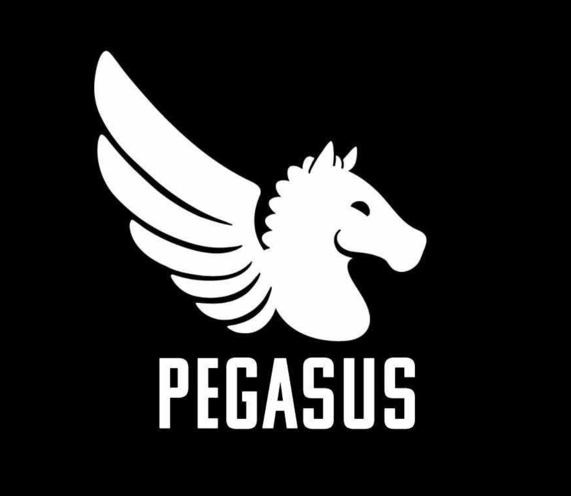 pegasus