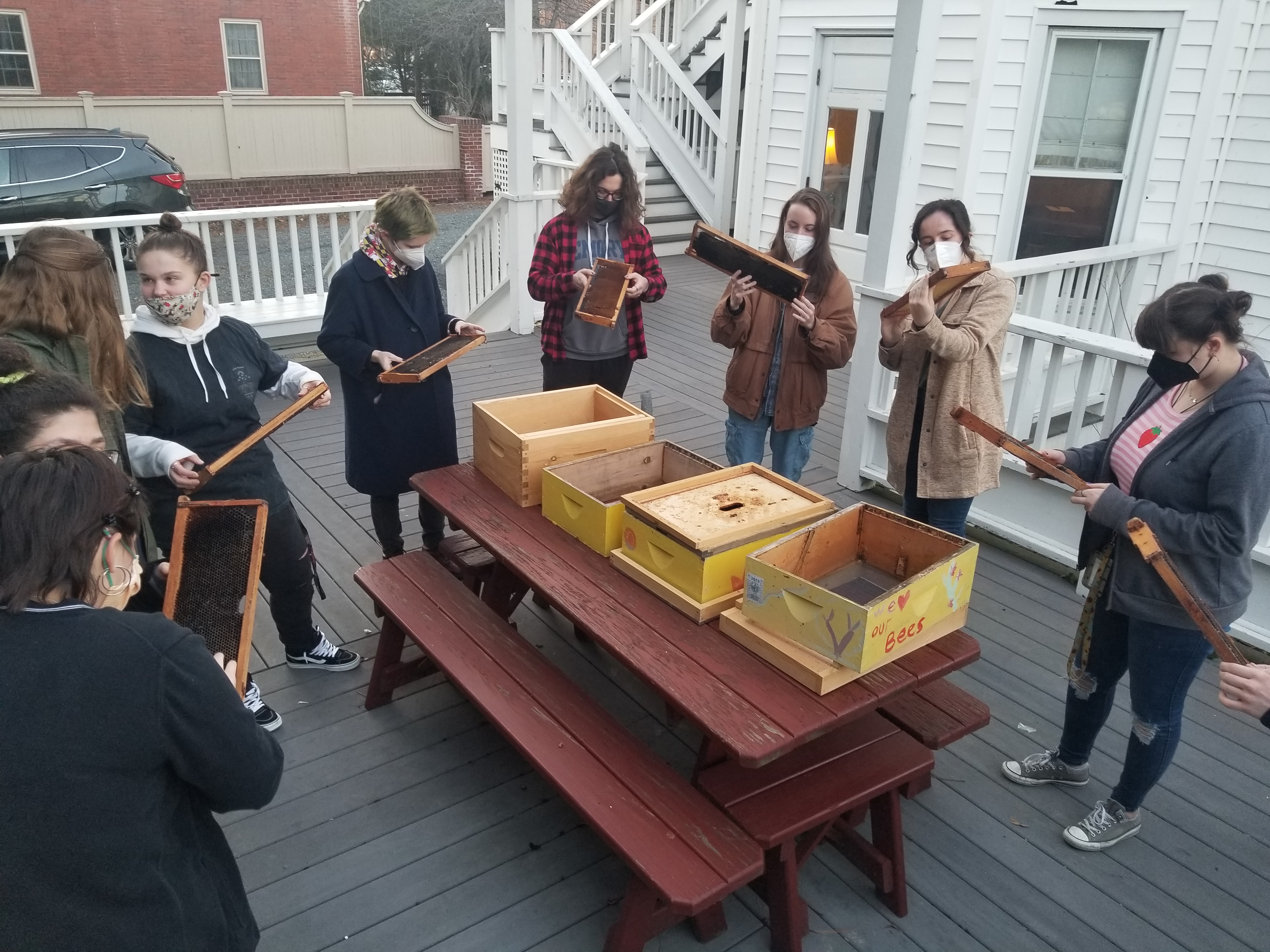 Beekeeping class