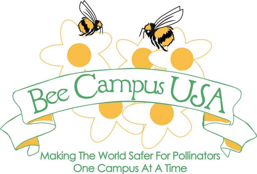 Bee Campus USA