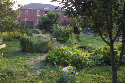 Campus Garden