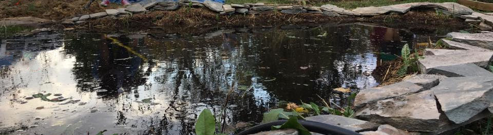 Campus garden pond